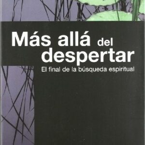 MAS ALLA DEL DESPERTAR . EL FINAL DE LA BUSQUEDA ESPIRITUAL