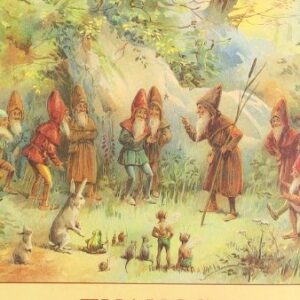 ENANOS Y GNOMOS .UNIVERSO FEERICO II