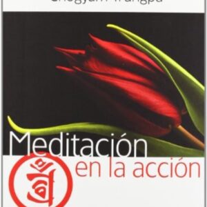 MEDITACION EN LA ACCION