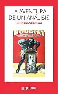 AVENTURA DE UN ANALISIS, LA 