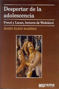 DESPERTAR DE LA ADOLESCENCIA