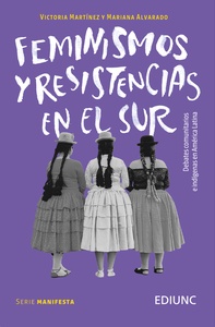 FEMINISMOS Y RESISTENCIAS EN EL SUR