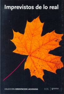 IMPREVISTOS DE LO REAL