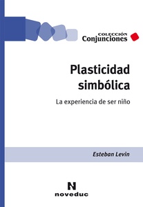 PLASTICIDAD SIMBOLICA (82)